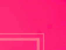 Adorable Dog Ornaments