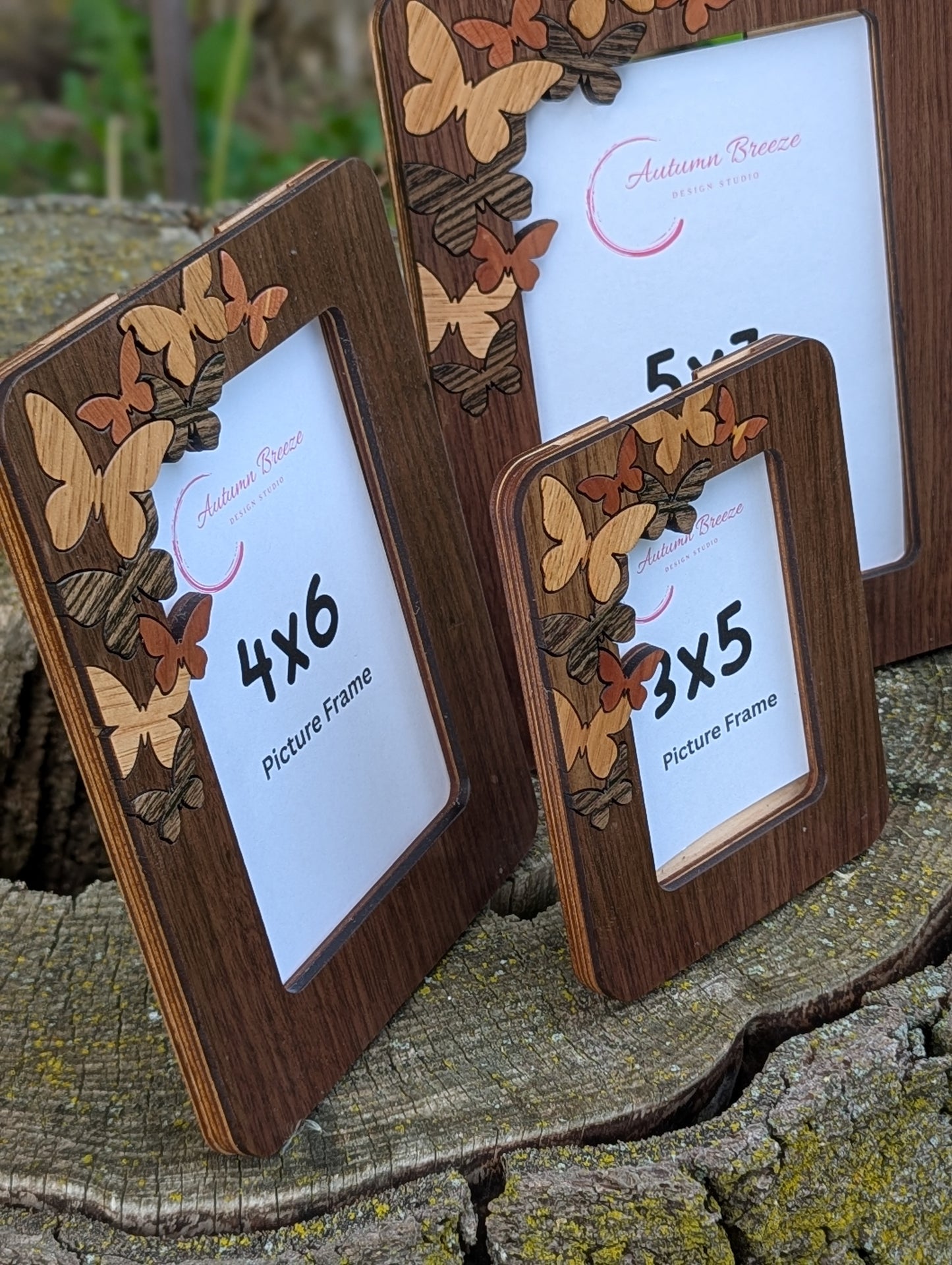 Butterfly picture frame