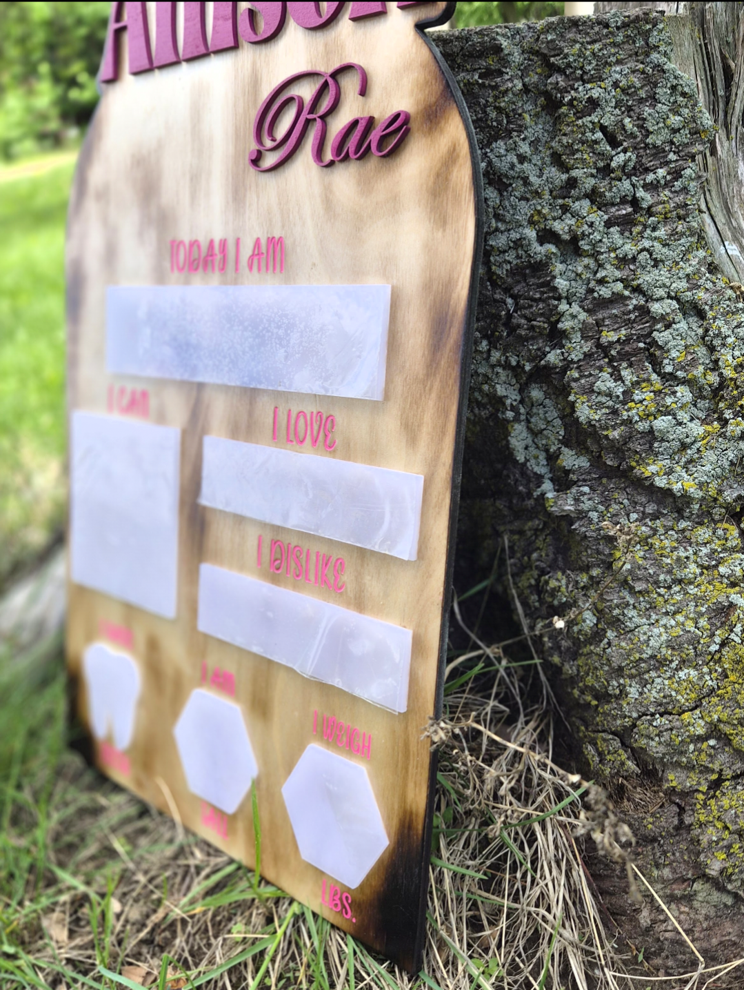 Baby Milestone board