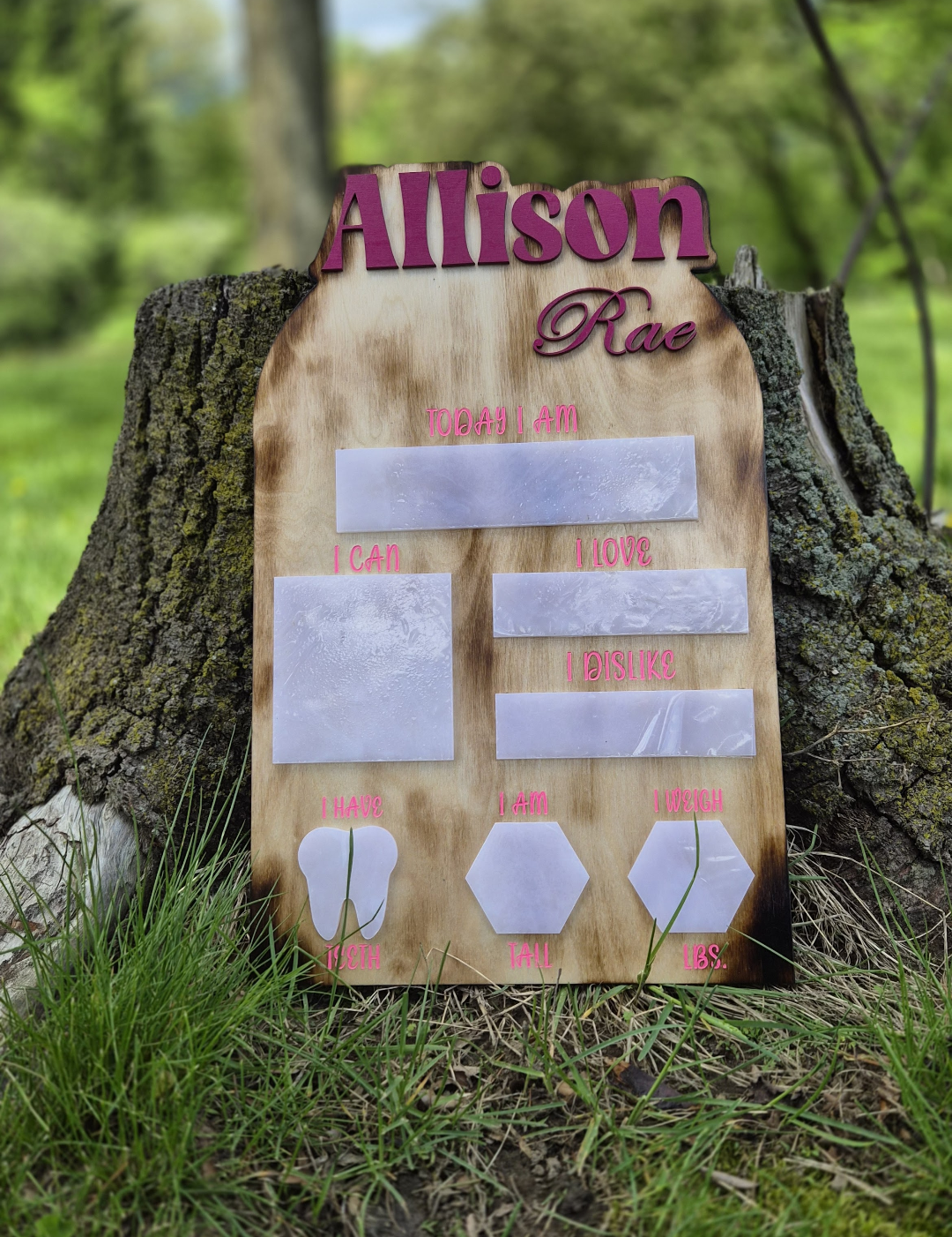 Baby Milestone board