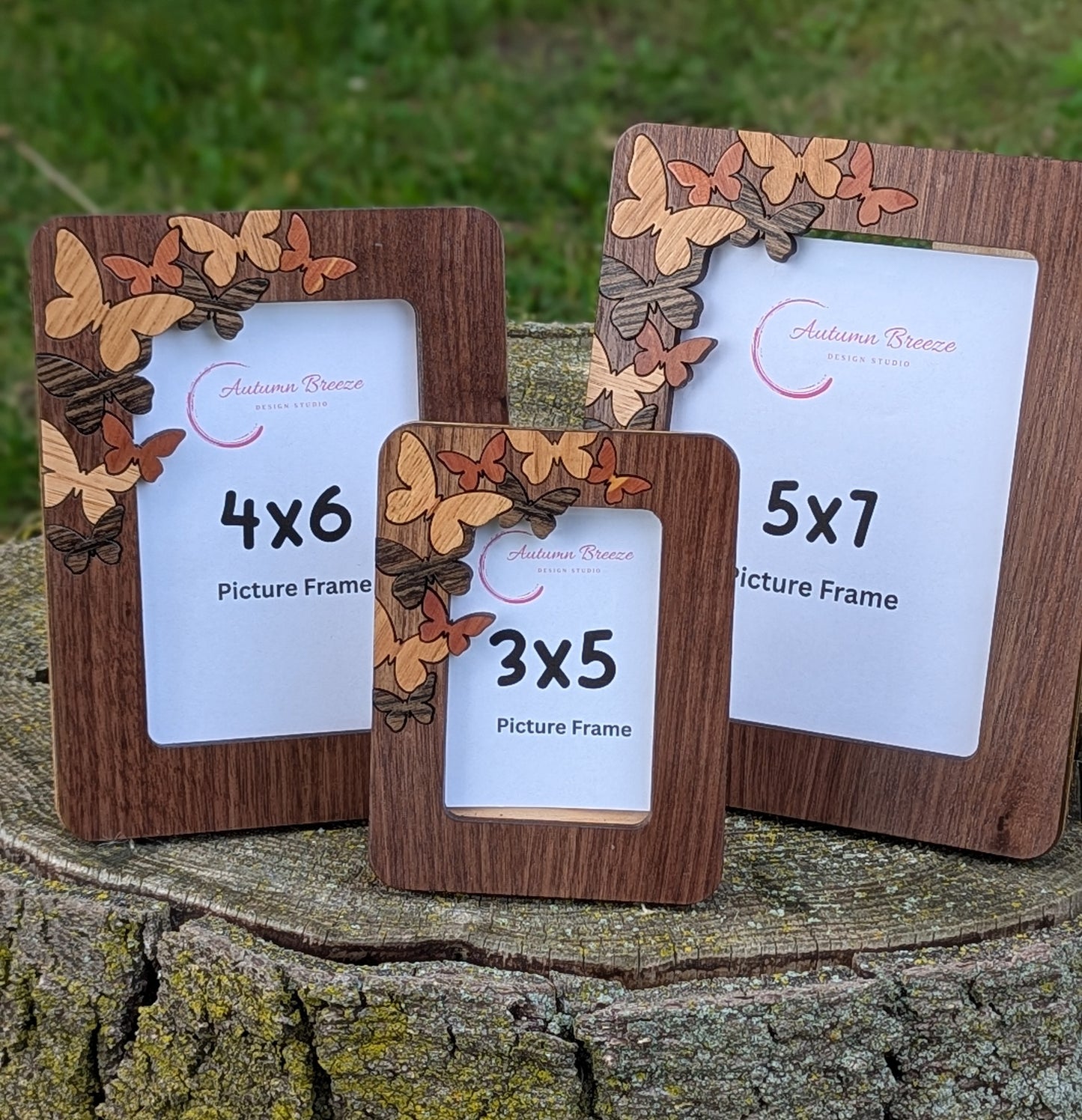 Butterfly picture frame